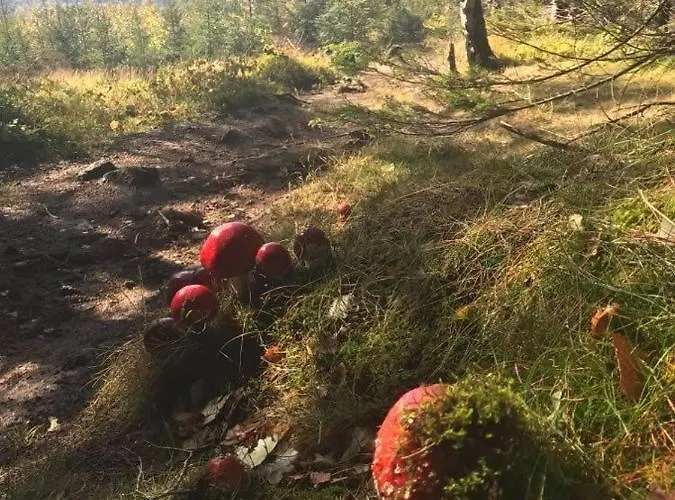 Piotr Aparts アパート