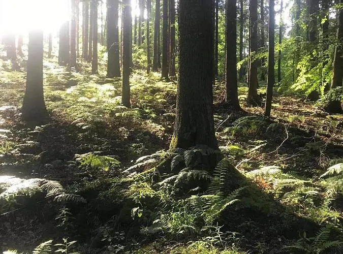 Piotr Aparts アパート Świeradów-Zdrój